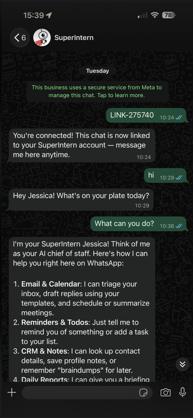 Connected: it confirms the link, then gives the rundown when you ask what it can do.